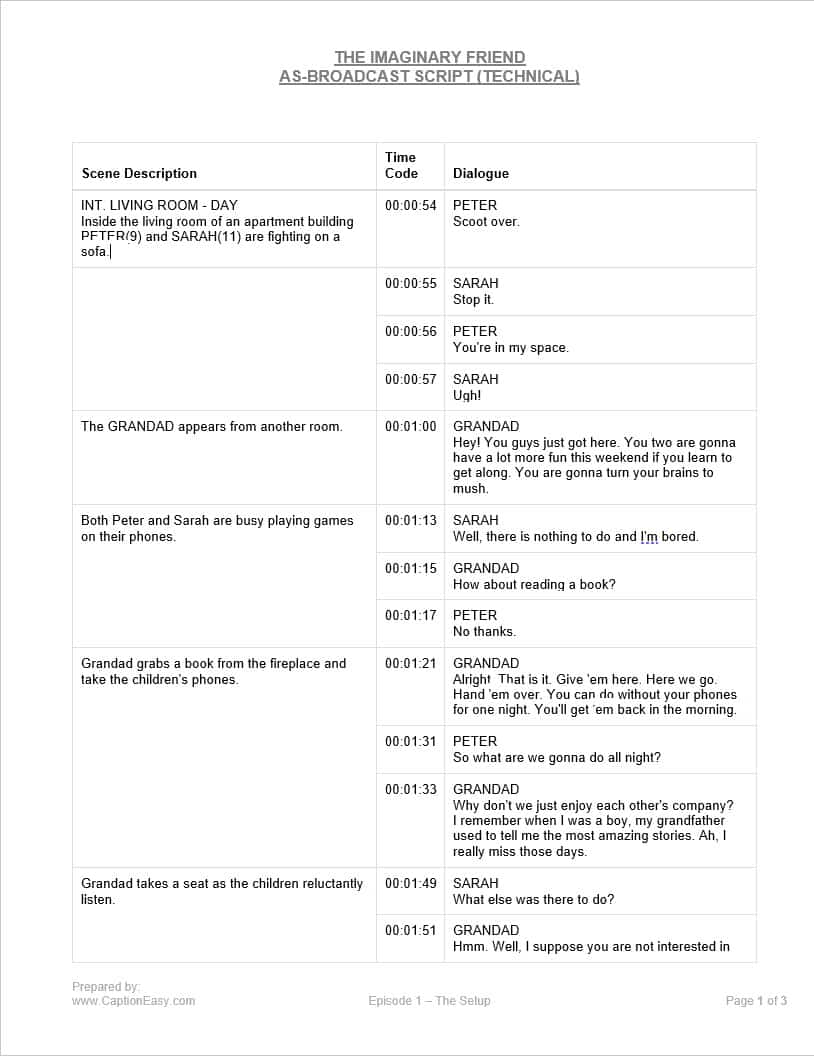 Broadcast Script Format Example